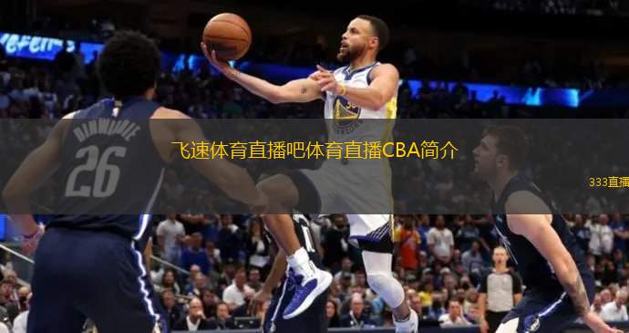 他的这个进