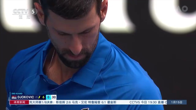 勒沃库森乘